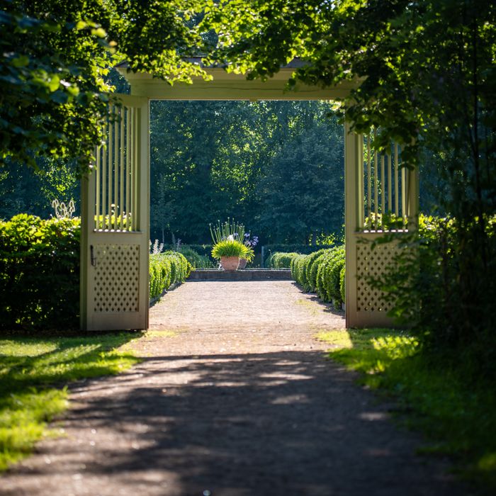 Idyllic summer garden pathway framed by greenery in Skåne, Sweden.